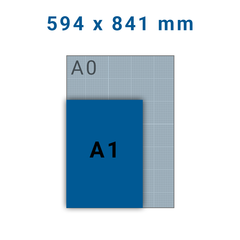 zo ik ben ziek Meevoelen Posters A1 - NLdrukwerk.nl